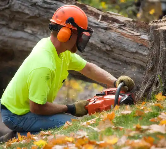 tree services Holden Beach